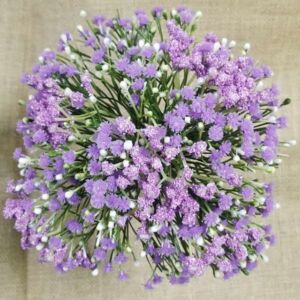 ЦВЕТЯ ДЕКОРАТИВНИ /ГИПСОФИЛ/ - 5 бр - 0574-1-3