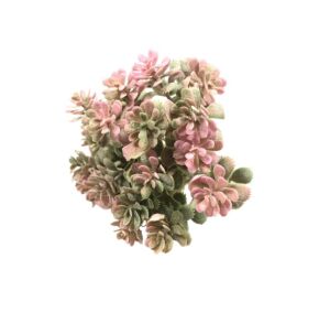 ДЕКОРАЦИИ КЛОНКИ - 60 бр - 2022-01